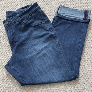 Jag Jeans Low Rise Skinny Ankle Jeans